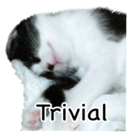 Picture of the kitten 4 English version sticker #13555768