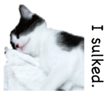 Picture of the kitten 4 English version sticker #13555770