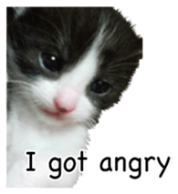 Picture of the kitten 4 English version sticker #13555780