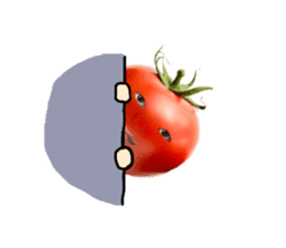 TOMATO MAN 2 sticker #13555820