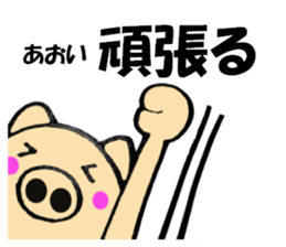 Names pig aoi sticker #13556016