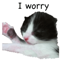 Picture of the kitten 5 English version sticker #13556193