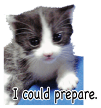 Picture of the kitten 5 English version sticker #13556200