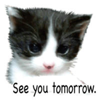 Picture of the kitten 5 English version sticker #13556204