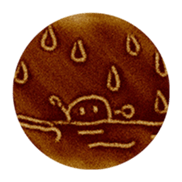 Ball Ball on the sand sticker #13556447