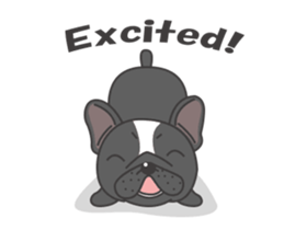 Raven the French Bulldog Animated 2 sticker #13556511