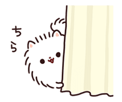 Pomeranian Mochi Animated Stickers sticker #13556601