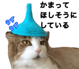 The real cat message sticker #13556839