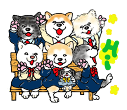 I love the Akita dog sticker #13557158