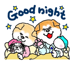 I love the Akita dog sticker #13557160