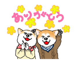 I love the Akita dog sticker #13557163