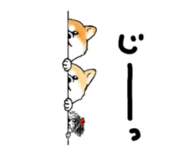 I love the Akita dog sticker #13557170