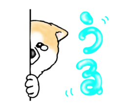 I love the Akita dog sticker #13557179