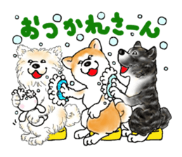 I love the Akita dog sticker #13557186