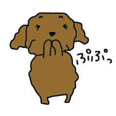 Everyone's Toy poodle