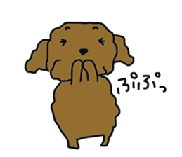 Everyone's Toy poodle sticker #13557999