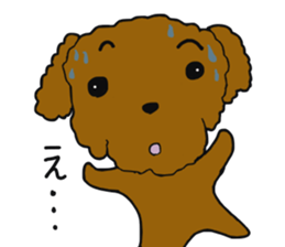 Everyone's Toy poodle sticker #13558007