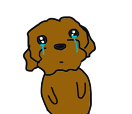 Everyone's Toy poodle sticker #13558010