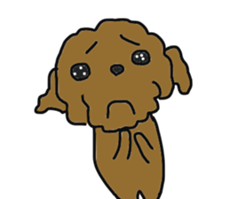 Everyone's Toy poodle sticker #13558012