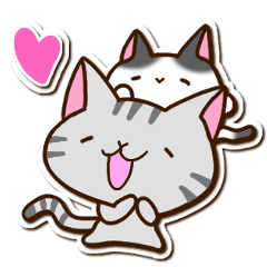 American Shorthair and Black tabby cat