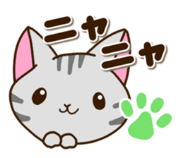 American Shorthair and Black tabby cat sticker #13558038
