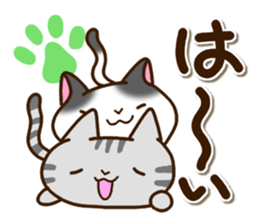 American Shorthair and Black tabby cat sticker #13558064