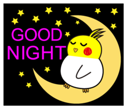 QQBird's Daily Life sticker #13558561