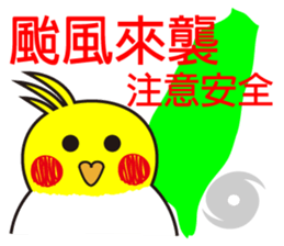 QQBird's Daily Life sticker #13558572