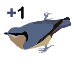 Taiwan wild bird series_1 by Gerald Her sticker #13559734