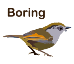 Taiwan wild bird series_1 by Gerald Her sticker #13559738