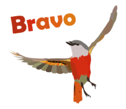 Taiwan wild bird series_1 by Gerald Her sticker #13559739