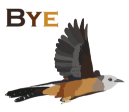 Taiwan wild bird series_1 by Gerald Her sticker #13559740