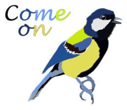 Taiwan wild bird series_1 by Gerald Her sticker #13559741