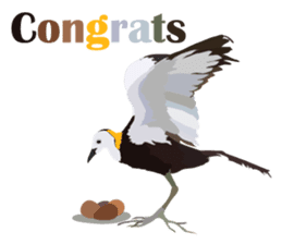 Taiwan wild bird series_1 by Gerald Her sticker #13559742