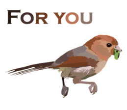 Taiwan wild bird series_1 by Gerald Her sticker #13559744