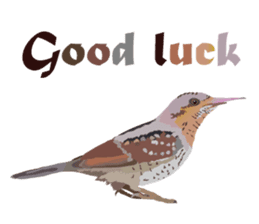 Taiwan wild bird series_1 by Gerald Her sticker #13559747