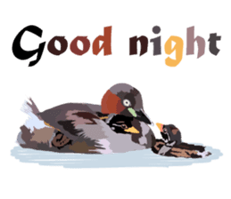 Taiwan wild bird series_1 by Gerald Her sticker #13559748