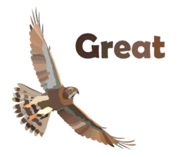 Taiwan wild bird series_1 by Gerald Her sticker #13559749