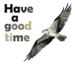 Taiwan wild bird series_1 by Gerald Her sticker #13559751