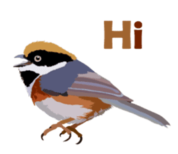 Taiwan wild bird series_1 by Gerald Her sticker #13559752