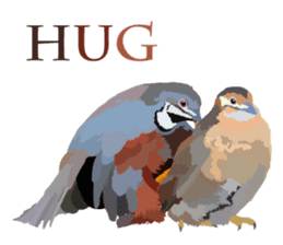 Taiwan wild bird series_1 by Gerald Her sticker #13559753