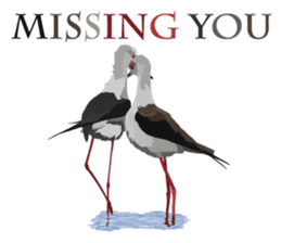 Taiwan wild bird series_1 by Gerald Her sticker #13559756