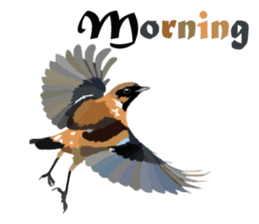 Taiwan wild bird series_1 by Gerald Her sticker #13559757