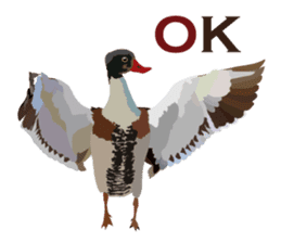 Taiwan wild bird series_1 by Gerald Her sticker #13559760