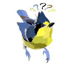 Taiwan wild bird series_1 by Gerald Her sticker #13559761