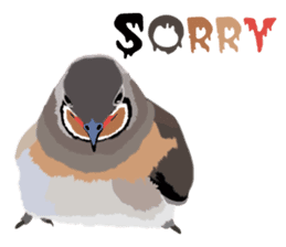 Taiwan wild bird series_1 by Gerald Her sticker #13559762