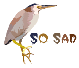 Taiwan wild bird series_1 by Gerald Her sticker #13559763