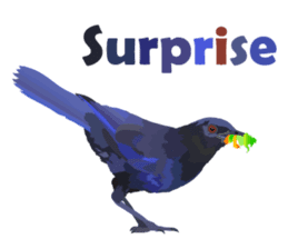 Taiwan wild bird series_1 by Gerald Her sticker #13559764