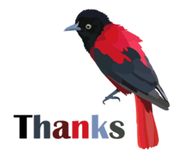 Taiwan wild bird series_1 by Gerald Her sticker #13559766