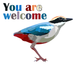 Taiwan wild bird series_1 by Gerald Her sticker #13559772